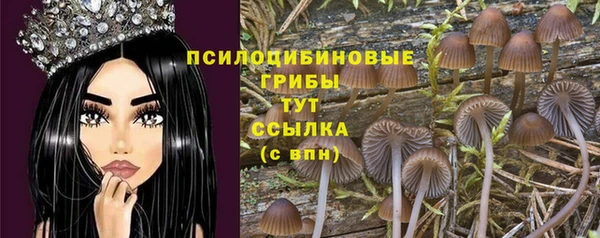 спайс Белоозёрский